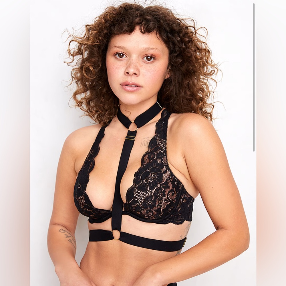 We are HAH strapped in harness in noir